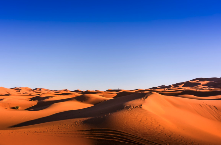 Captura de Pantalla 2021-01-21 a la(s) 11